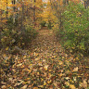 Meet your Posher, Abbey